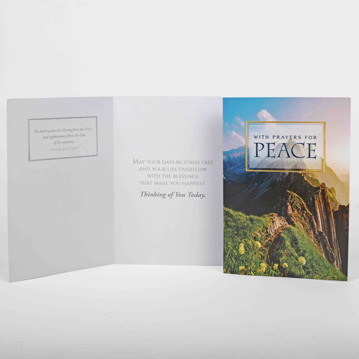 BOXED CARDS PRAYING FOR YOU NATURE'S SPLENDOR 12CT