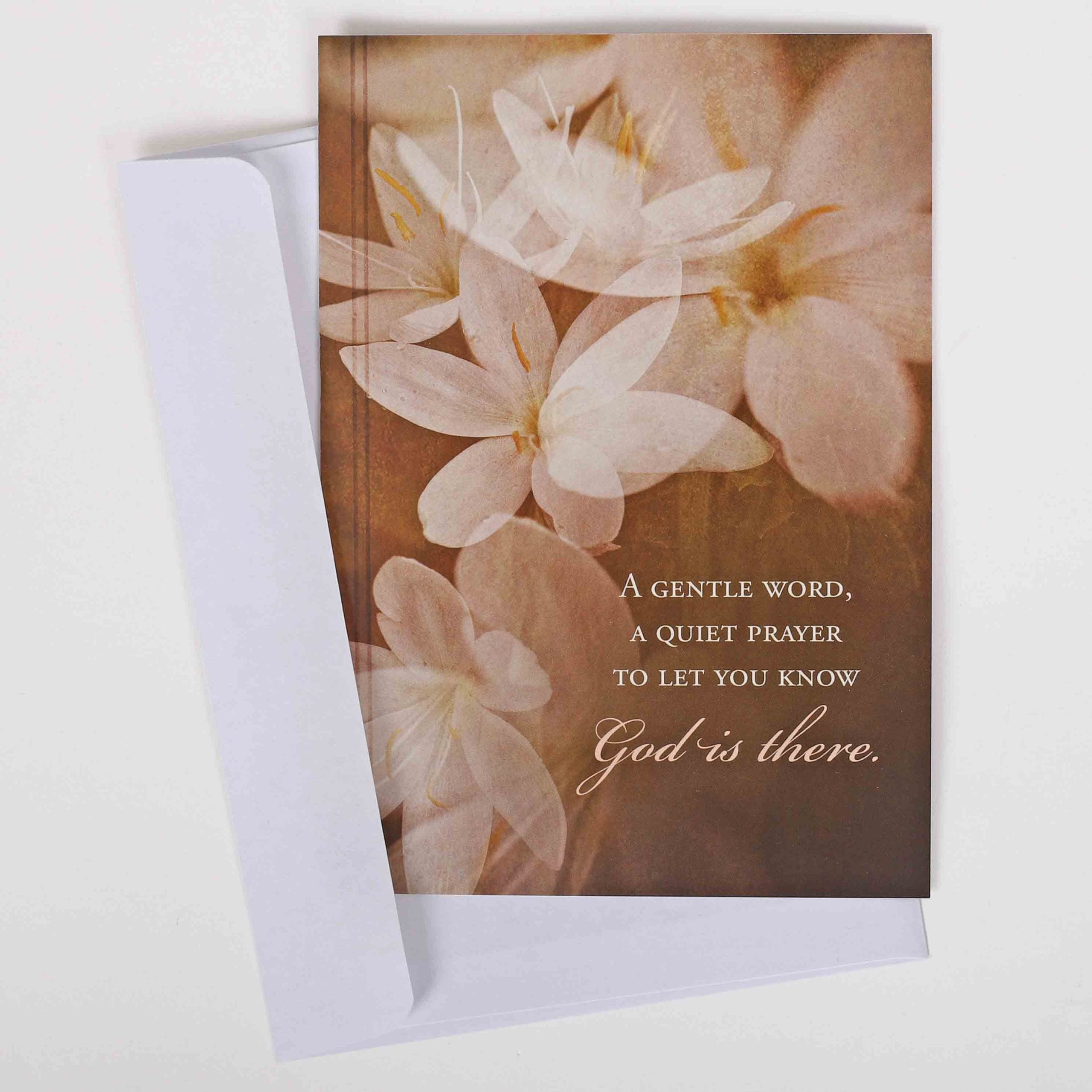 BOXED CARDS SYMPATHY IN GOD'S ARMS 12CT