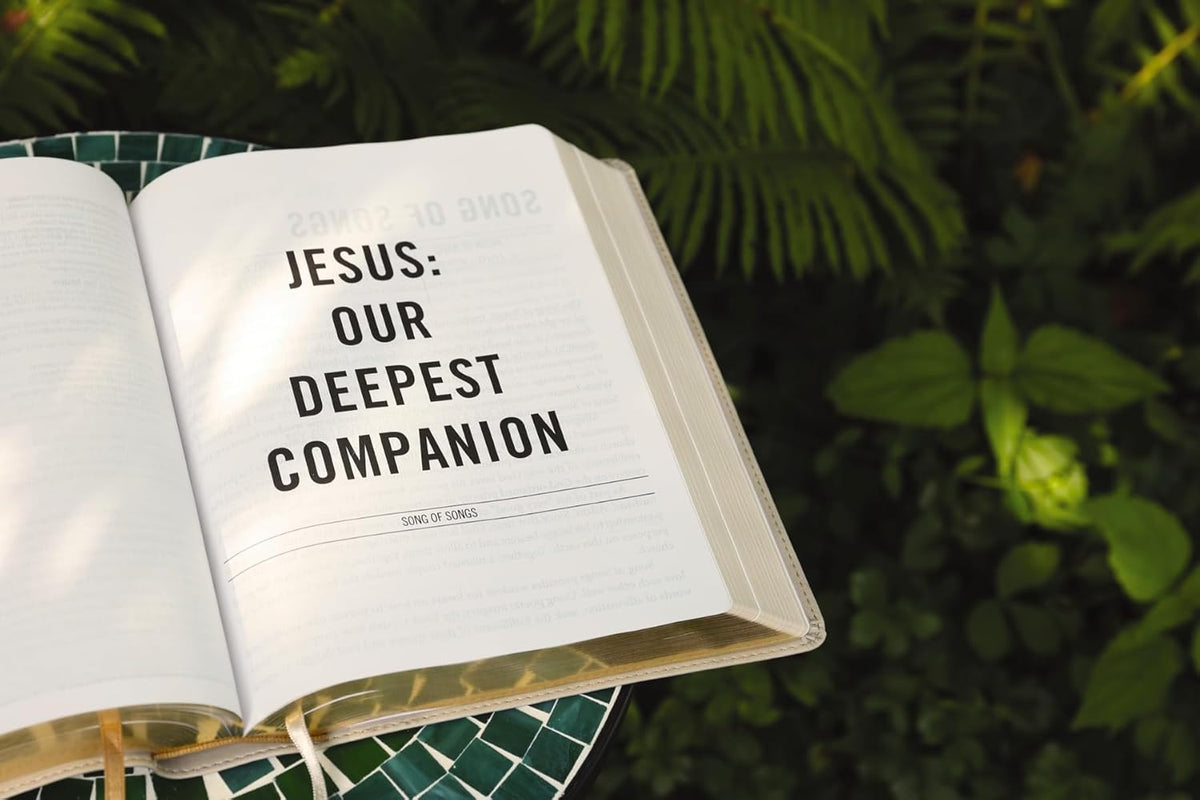 The Jesus Bible, NIV Edition, Comfort Print – Leathersoft™, Stone by HarperCollins, product view 4