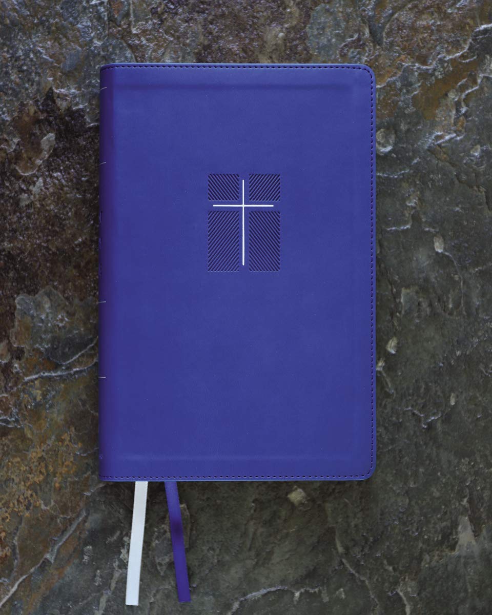 NIV, Quest Study Bible, Personal Size, Comfort Print: The Only Q and A Study Bible – Leathersoft™, Blue, product view 8