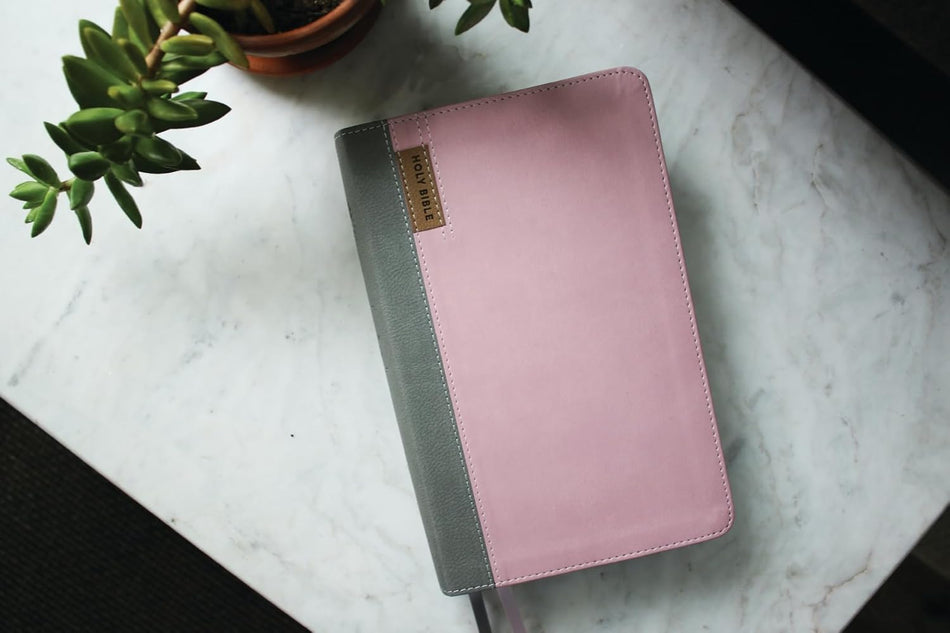 NIV Application Bible, Personal Size, Red Letter, Comfort Print: Bringing the Ancient Message of the Bible, product view 2