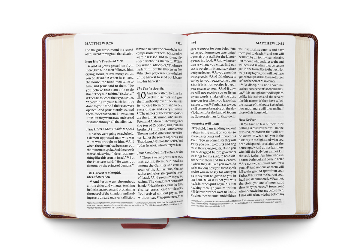ESV Giant Print Personal Size Bible by Crossway, product view 2