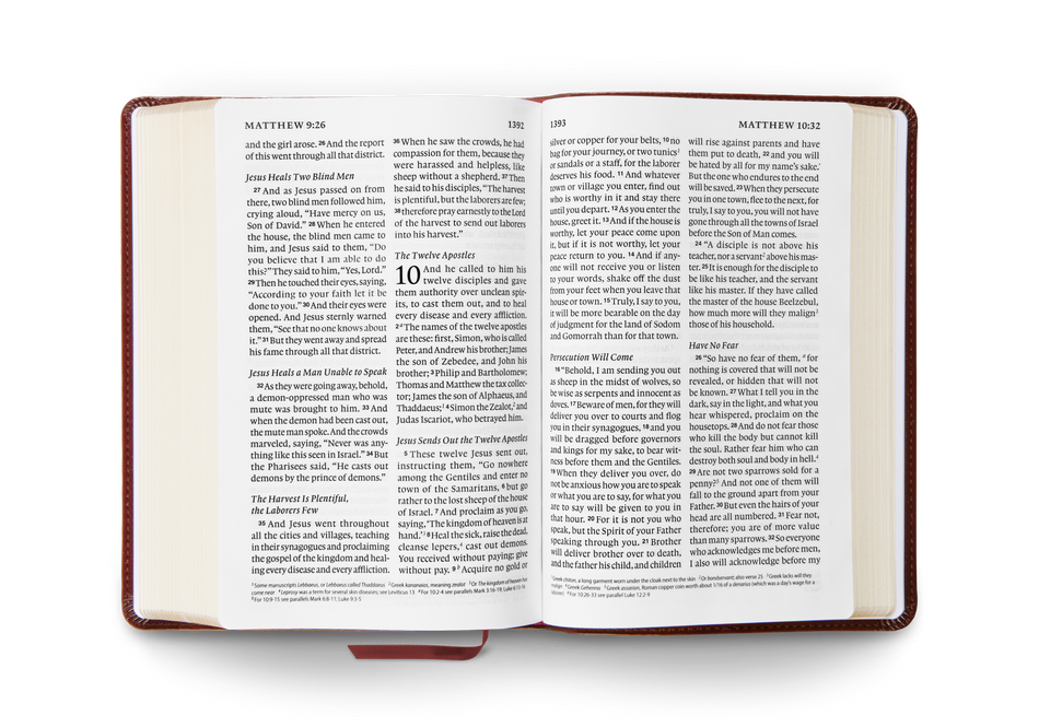 ESV Giant Print Personal Size Bible by Crossway, product view 2