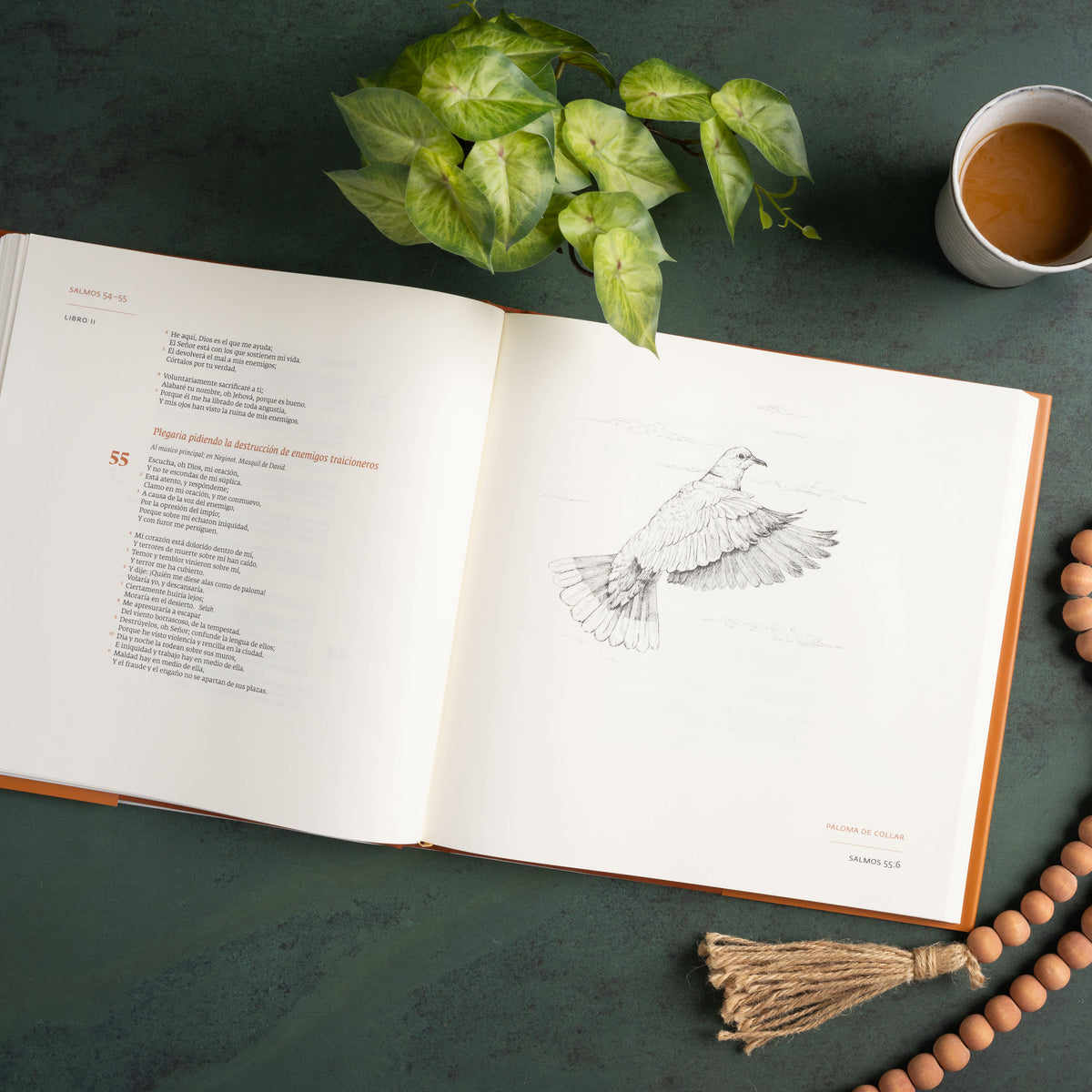 1960 Libro de Salmos Edición Ilustrada (RVR) tapa dura by Broadman and Holman, product view 5