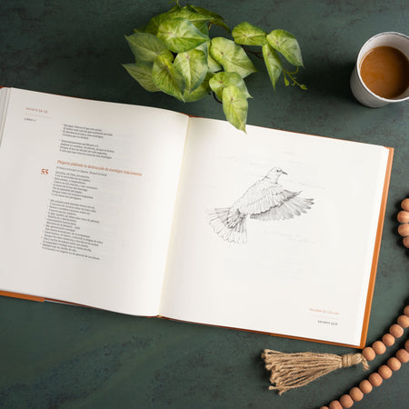 1960 Libro de Salmos Edición Ilustrada (RVR) tapa dura by Broadman and Holman, product view 5