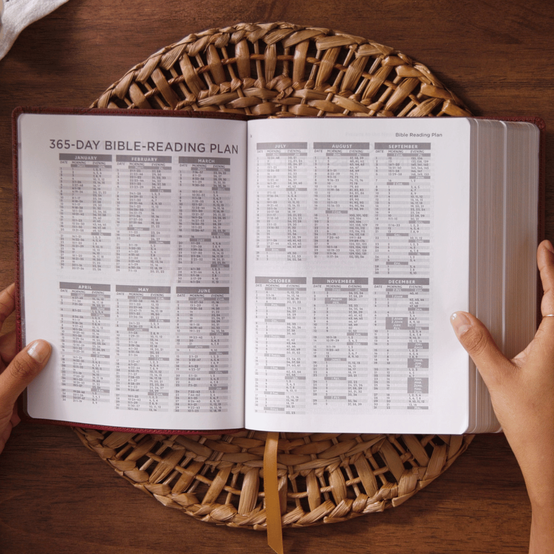 NKJV, The Prayer Bible, Red Letter, Comfort Print – Leathersoft™, Black/Gray by HarperCollins, product view 2