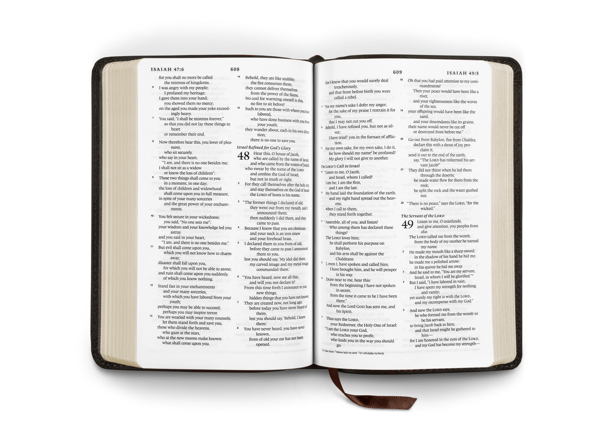 ESV Compact Bible – Leather (Deep Brown Buffalo Leather) by Crossway, product view 2