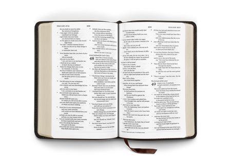 ESV Compact Bible – Leather (Deep Brown Buffalo Leather) by Crossway, product view 2