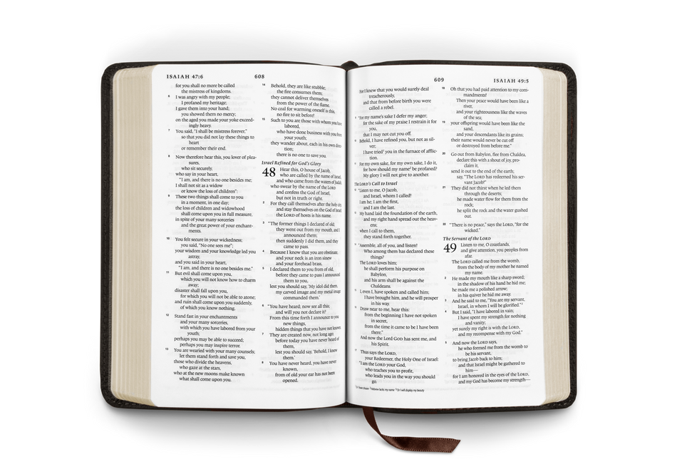 ESV Compact Bible – Leather (Deep Brown Buffalo Leather) by Crossway, product view 2