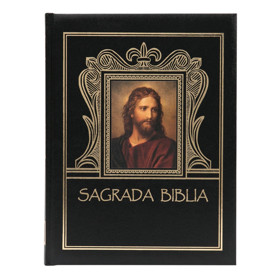 Sagrada Biblia Católica Familiar, Single or Case of 15