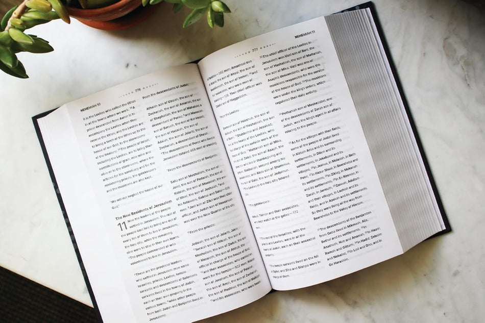 NIV, Clear Focus Bible: Read more of the Bible with better focus using the Bionic Reading® Method, product view 2