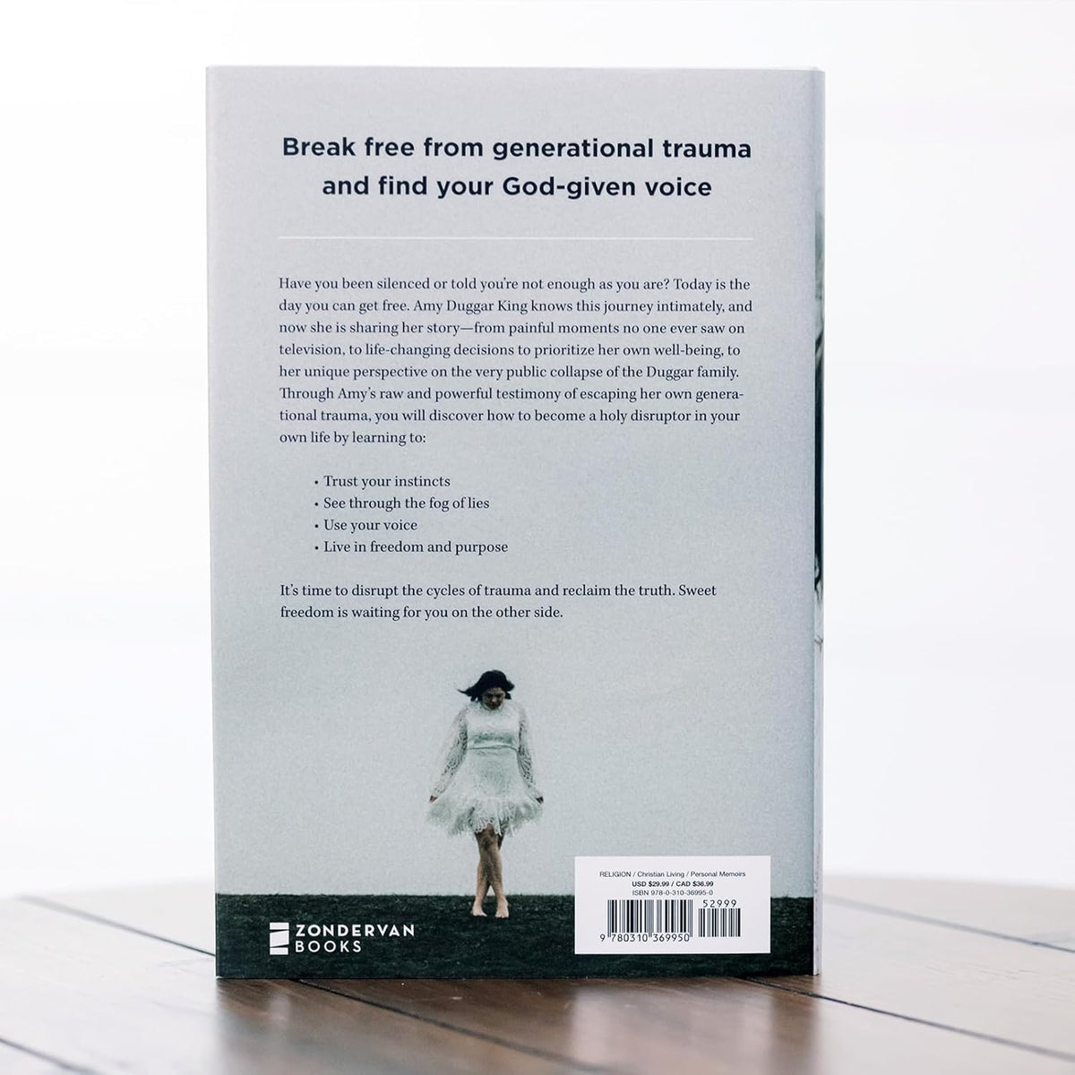 Holy Disruptor: Shattering the Shiny Facade by Getting Louder with the Truth by HarperCollins, product view 7