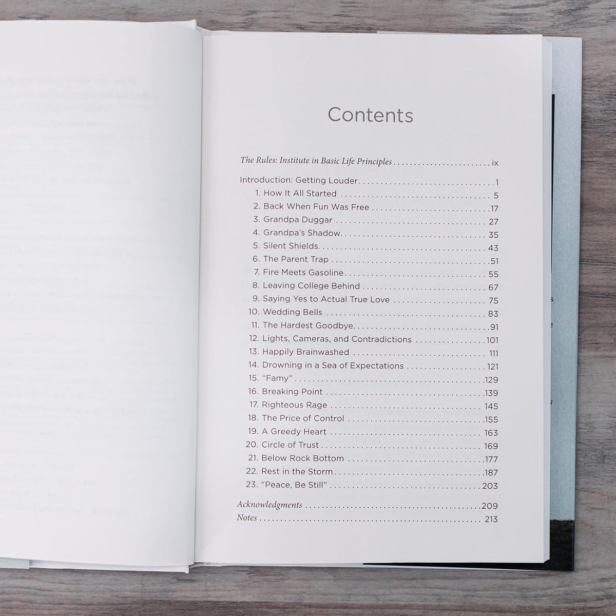 Holy Disruptor: Shattering the Shiny Facade by Getting Louder with the Truth by HarperCollins, product view 4