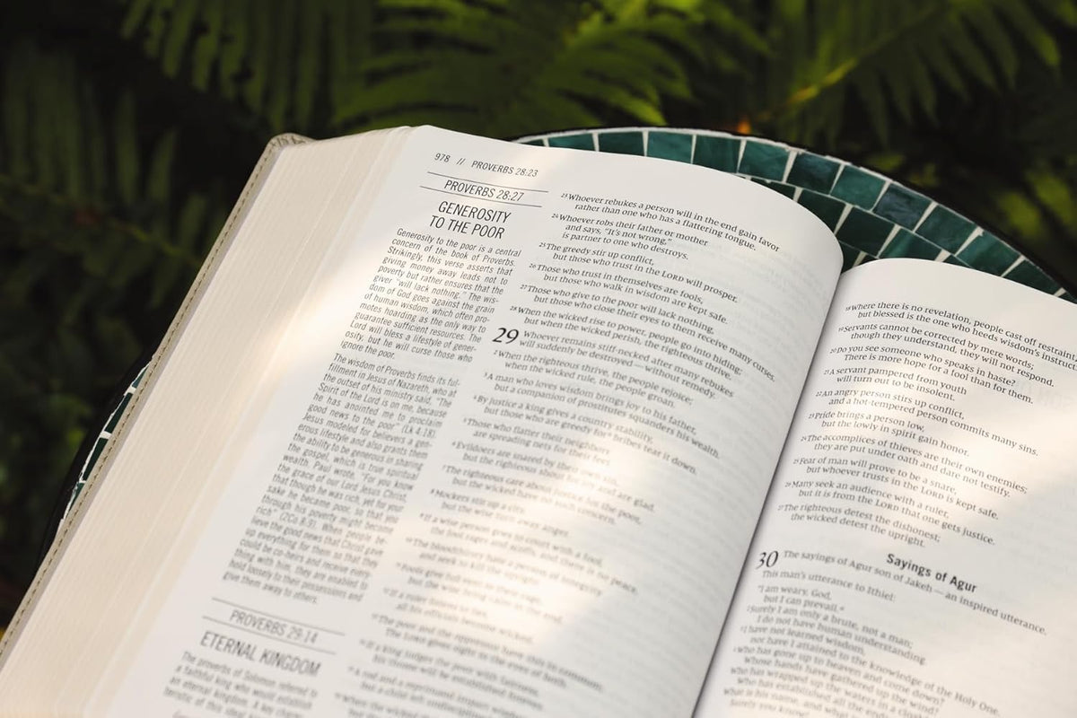The Jesus Bible, NIV Edition, Comfort Print – Leathersoft™, Stone by HarperCollins, product view 7