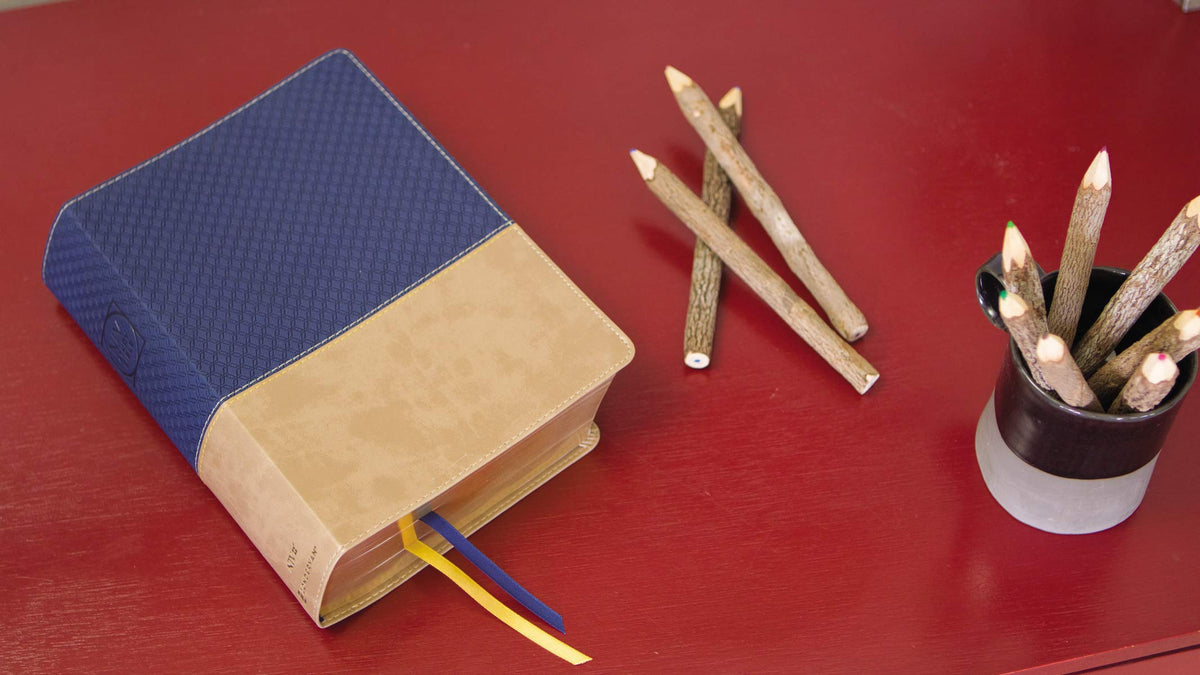 NIV Study Bible, Fully Revised Edition, Red Letter, Comfort Print – Leathersoft™, Navy/Tan, Thumb Indexed, product view 3