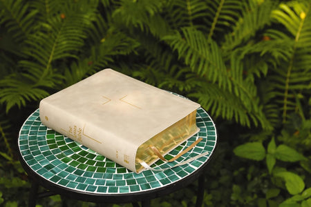 The Jesus Bible, NIV Edition, Comfort Print – Leathersoft™, Stone by HarperCollins, product view 8