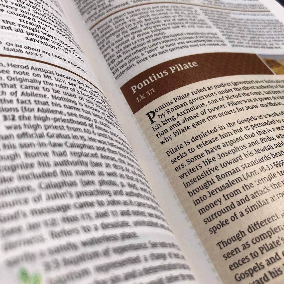 NIV Study Bible, Fully Revised Edition, Red Letter, Comfort Print – Leathersoft™, Navy/Tan, Thumb Indexed, product view 5