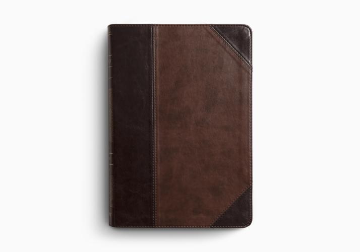 ESV Archaeology Study Bible