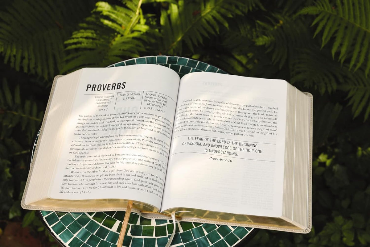 The Jesus Bible, NIV Edition, Comfort Print – Leathersoft™, Stone by HarperCollins, product view 10