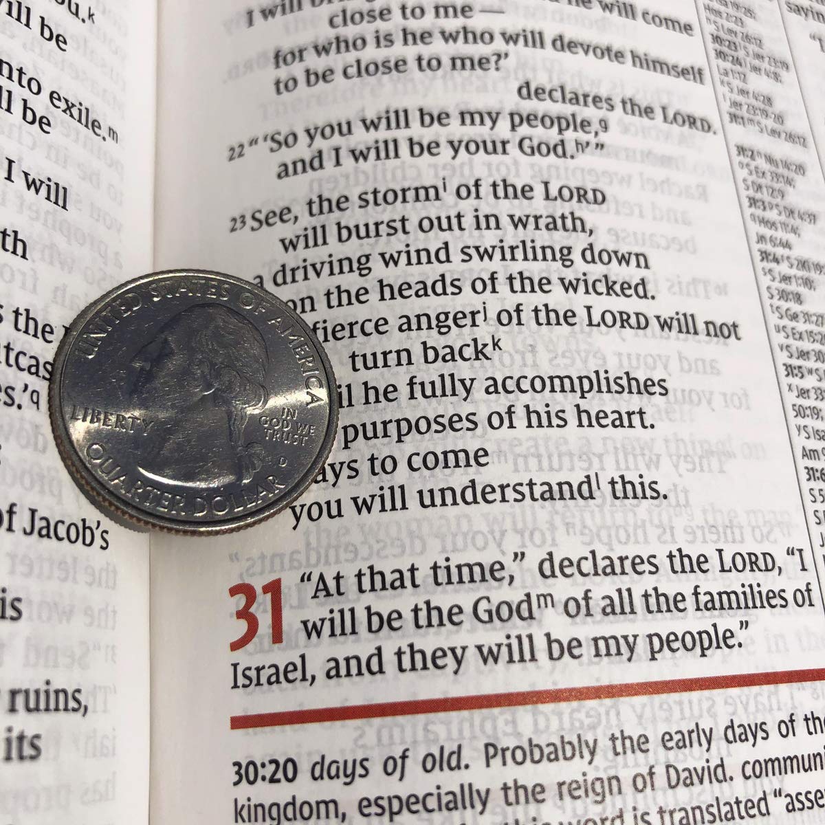 NIV Study Bible, Fully Revised Edition, Red Letter, Comfort Print – Leathersoft™, Navy/Tan, Thumb Indexed, product view 8