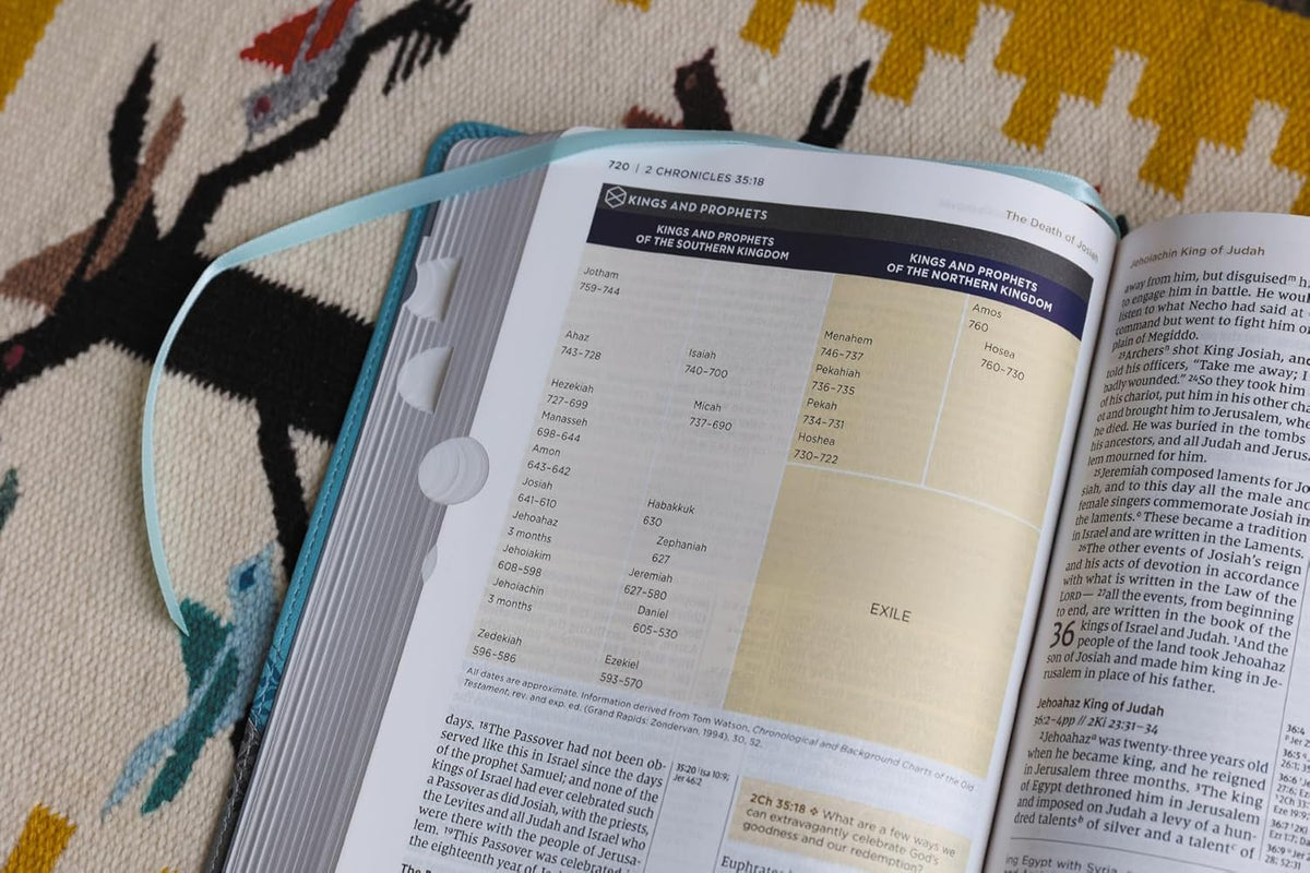 NIV Application Bible, Red Letter, Comfort Print: Bringing the Ancient Message of the Bible into Your World, product view 20