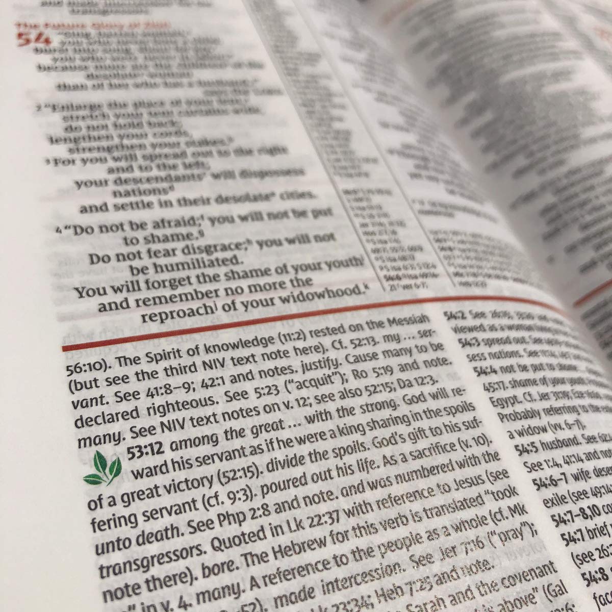 NIV Study Bible, Fully Revised Edition, Red Letter, Comfort Print – Leathersoft™, Navy/Tan, Thumb Indexed, product view 7