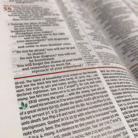 NIV Study Bible, Fully Revised Edition, Red Letter, Comfort Print – Leathersoft™, Navy/Tan, Thumb Indexed, product view 7