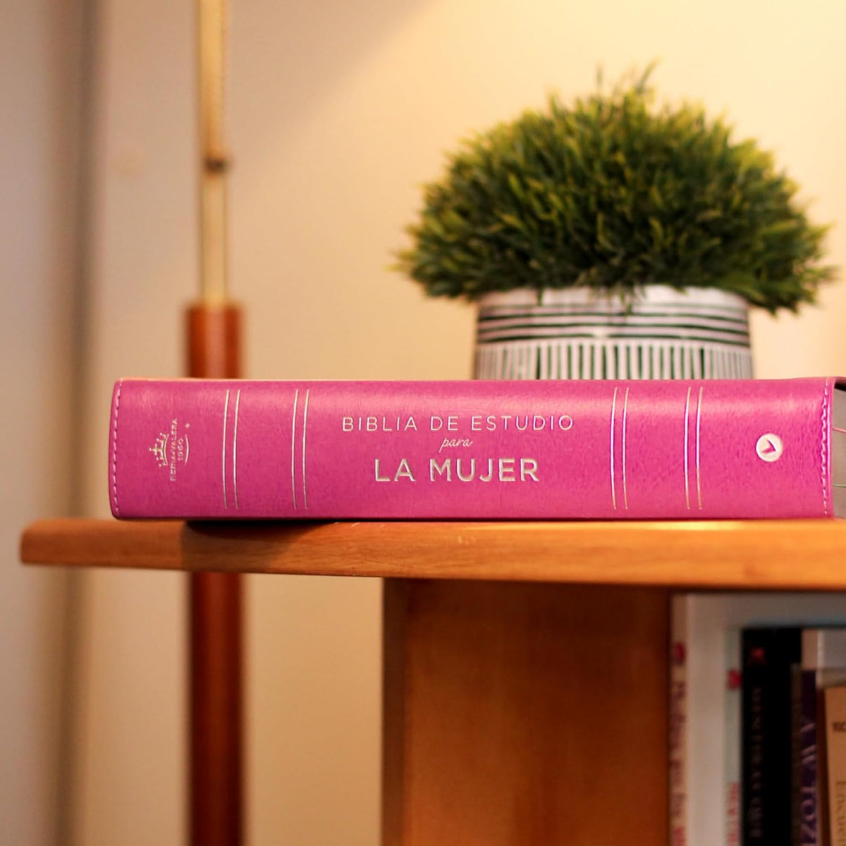 RVR60 Biblia de estudio para la mujer: Verdad, esperanza y transformación para el corazón – Leathersoft™, product view 6