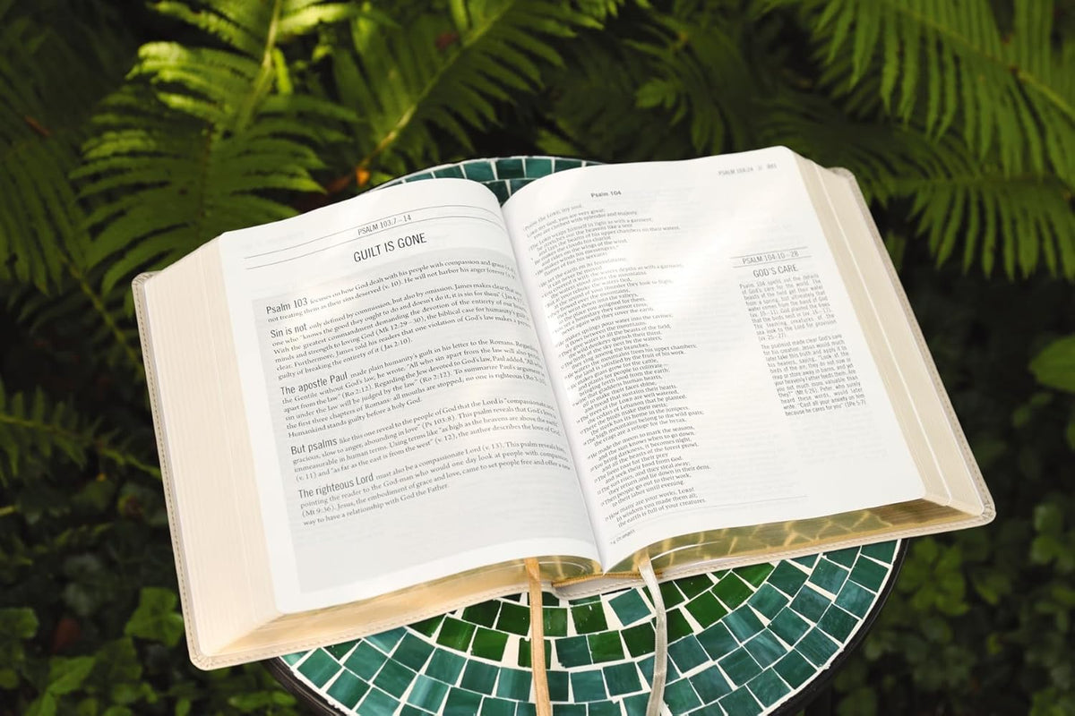 The Jesus Bible, NIV Edition, Comfort Print – Leathersoft™, Stone by HarperCollins, product view 12