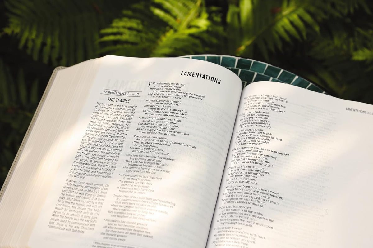 The Jesus Bible, NIV Edition, Comfort Print – Leathersoft™, Stone by HarperCollins, product view 13