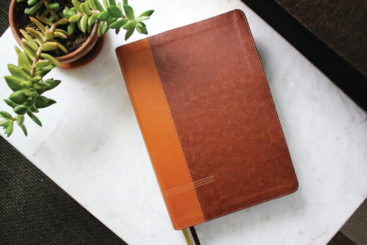 NIV Application Bible, Large Print, Red Letter, Comfort Print: Bringing the Ancient Message of the Bible, product view 2