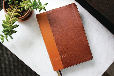 NIV Application Bible, Large Print, Red Letter, Comfort Print: Bringing the Ancient Message of the Bible, product view 2