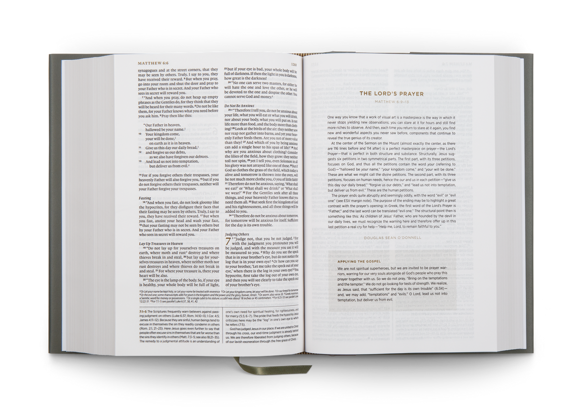 ESV Applying the Gospel Study Bible for Men – Hardcover by Crossway, product view 2