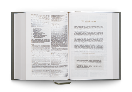 ESV Applying the Gospel Study Bible for Men – Hardcover by Crossway, product view 2