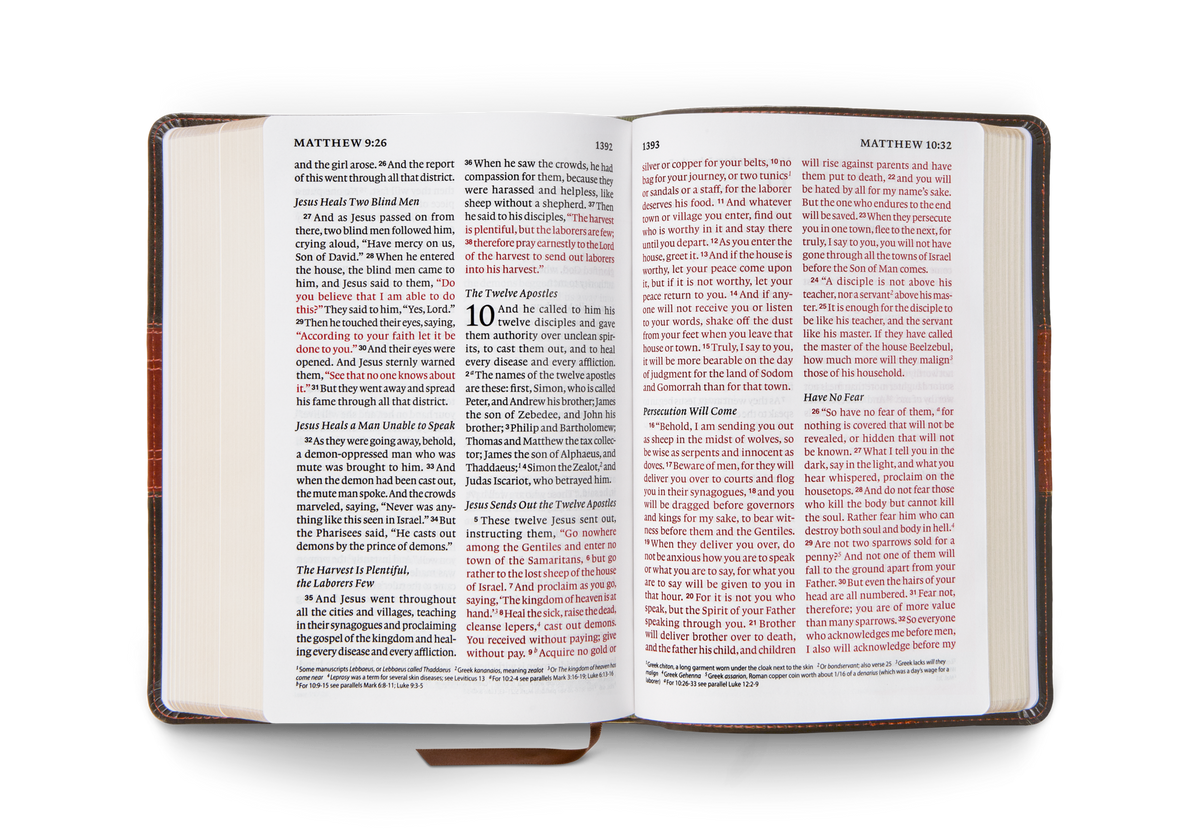 ESV Giant Print Personal Size Bible, Red Letter – Leather, TruTone®, Forest/Tan, Trail Design by Crossway, product view 2