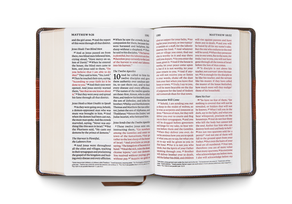 ESV Giant Print Personal Size Bible, Red Letter – Leather, TruTone®, Forest/Tan, Trail Design by Crossway, product view 2