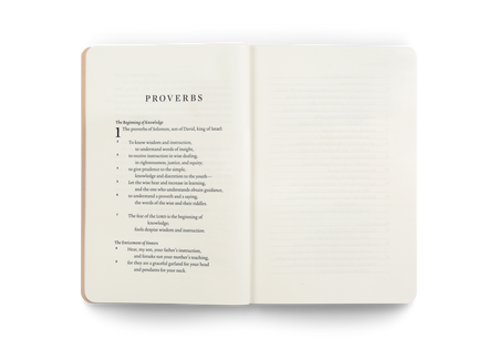ESV Scripture Journal: Proverbs (Artwork by Ruth Chou Simons) by Crossway, product view 2