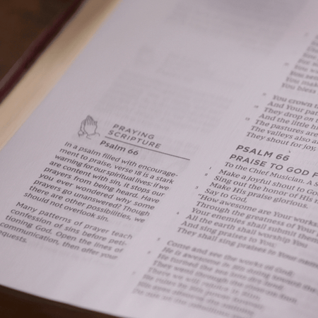NKJV, The Prayer Bible, Red Letter, Comfort Print – Leathersoft™, Black/Gray by HarperCollins, product view 3