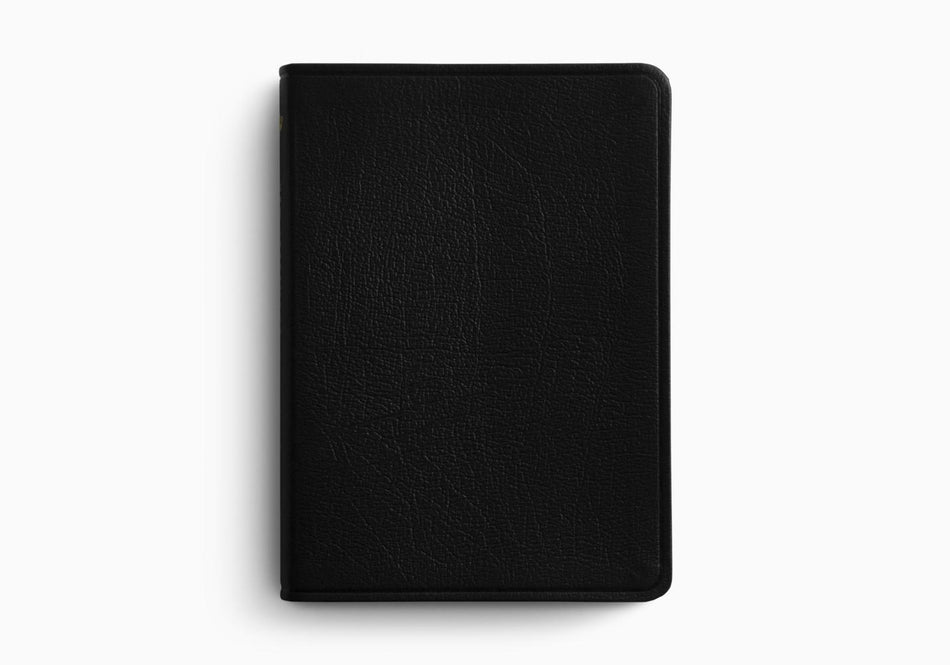ESV New Testament with Psalms and Proverbs