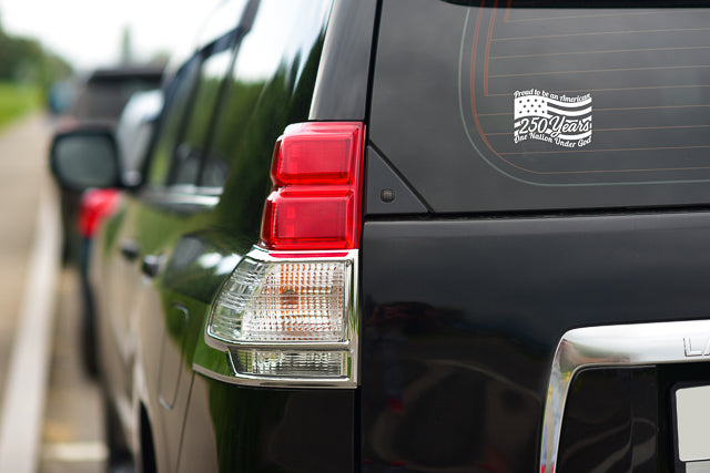 DECAL VINYL USA 250