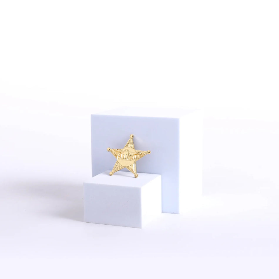 Badge Usher Metal Star Goldtone Pin