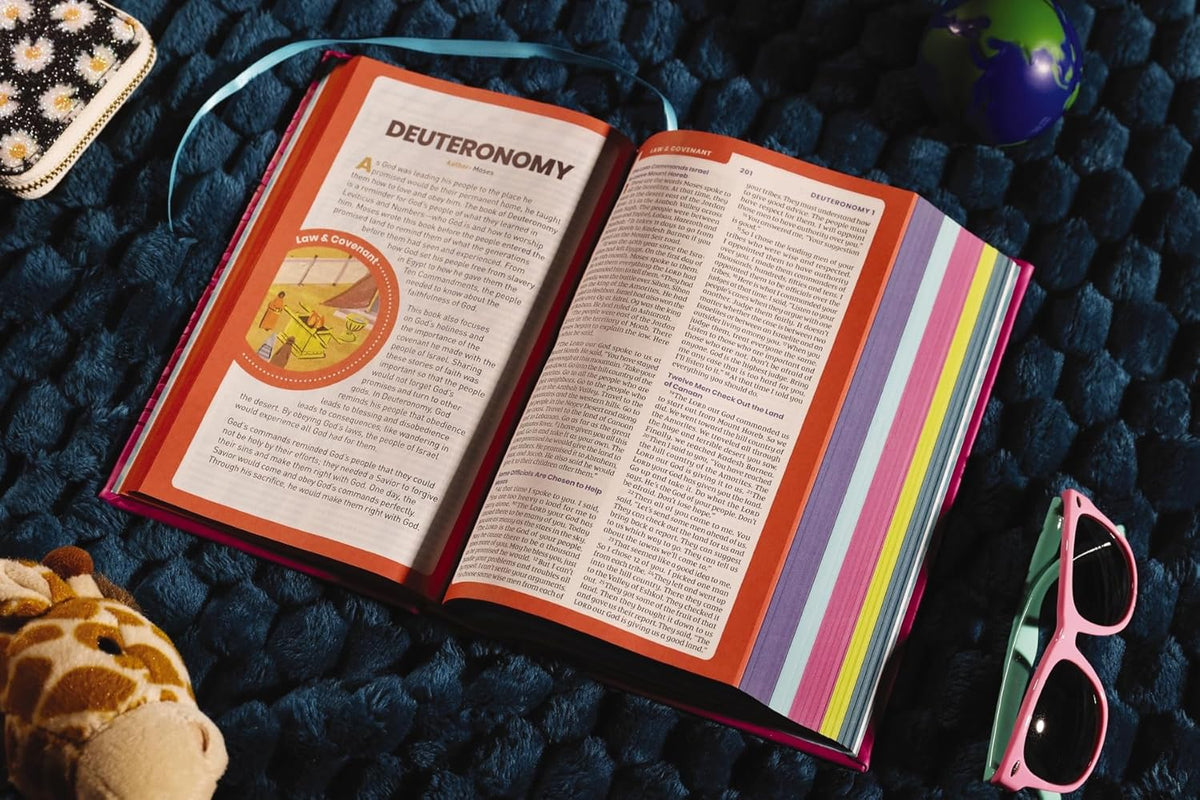 NIrV, Tiny Theologians Bible, Leathersoft over Board, Comfort Print: A Beginner’s Guide to the Bible – for, product view 14