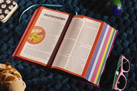 NIrV, Tiny Theologians Bible, Leathersoft over Board, Comfort Print: A Beginner’s Guide to the Bible – for, product view 14