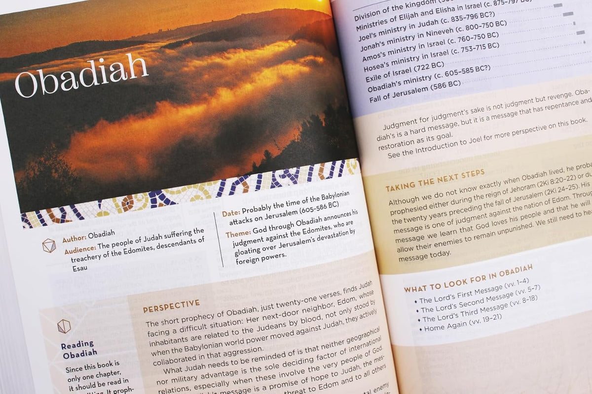 NIV Application Bible, Red Letter, Comfort Print: Bringing the Ancient Message of the Bible into Your World, product view 3