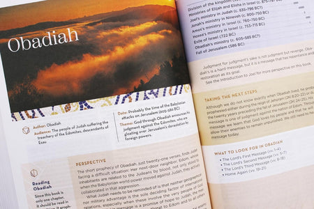 NIV Application Bible, Red Letter, Comfort Print: Bringing the Ancient Message of the Bible into Your World, product view 3