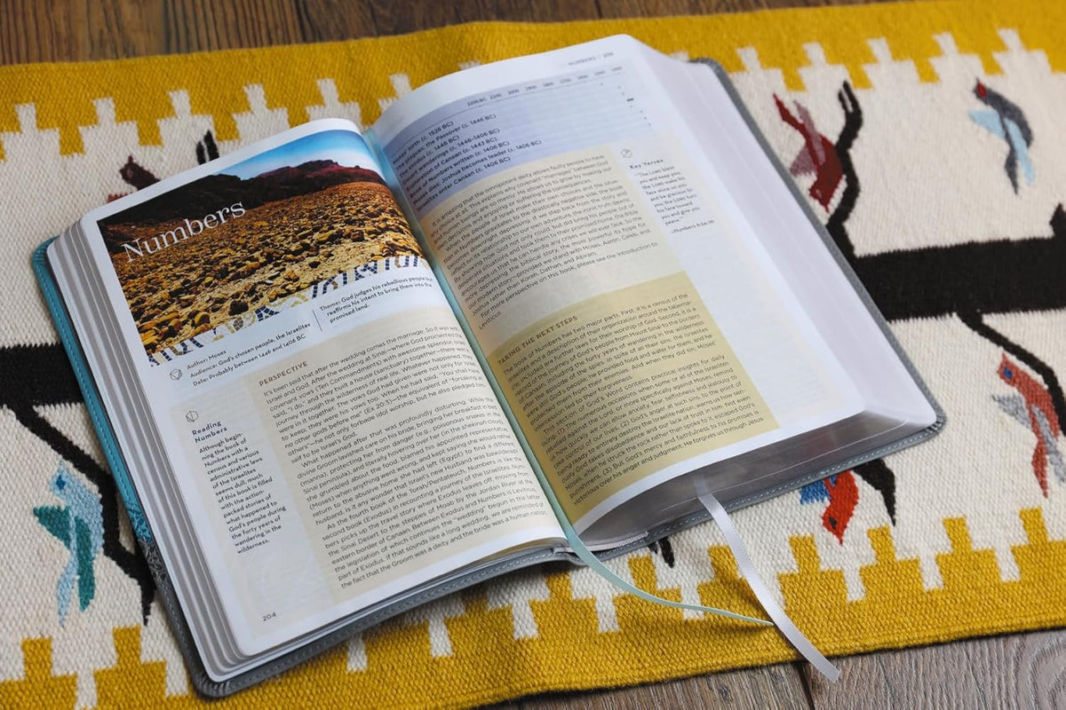 NIV Application Bible, Red Letter, Comfort Print: Bringing the Ancient Message of the Bible into Your World, product view 13