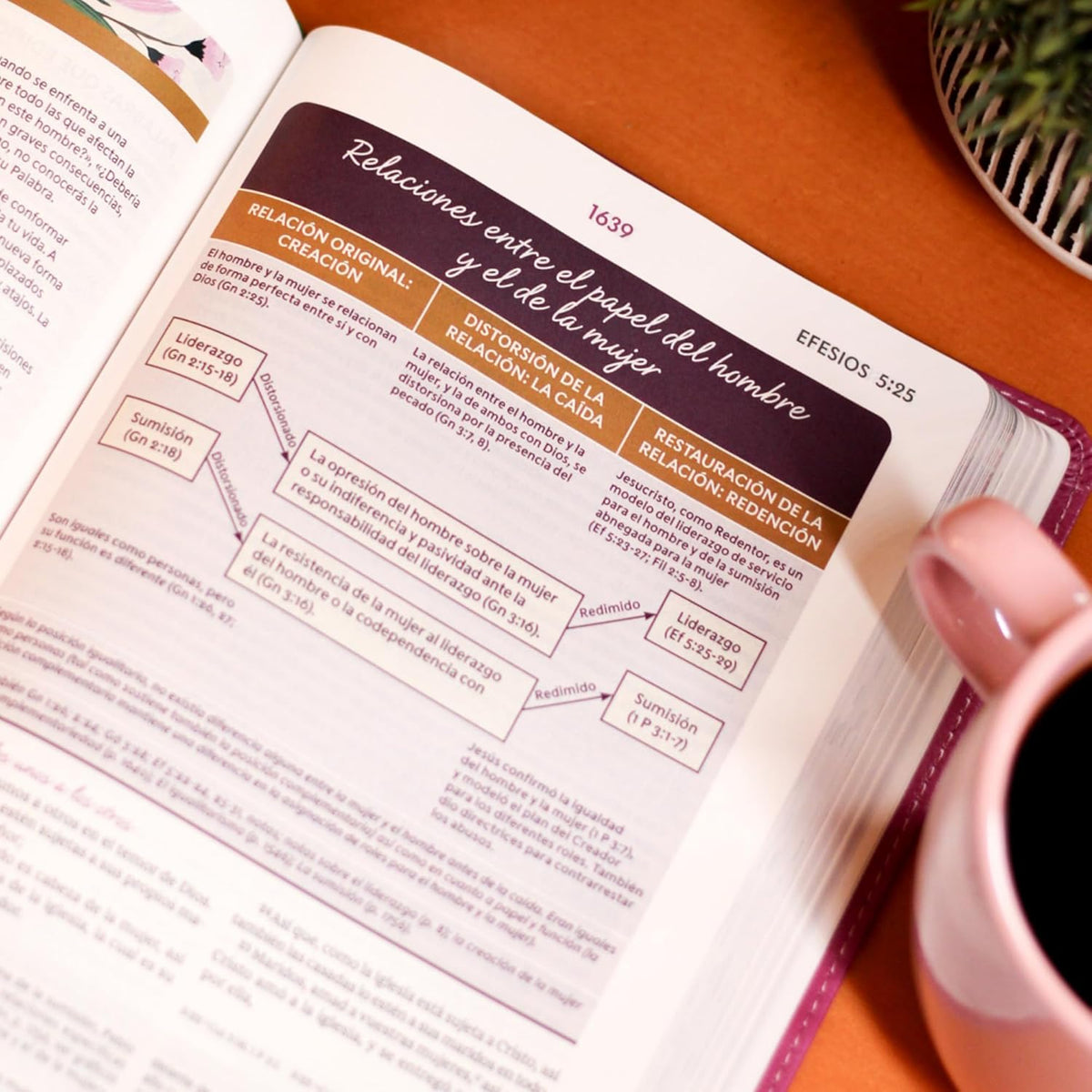 RVR60 Biblia de estudio para la mujer: Verdad, esperanza y transformación para el corazón – Leathersoft™, product view 9