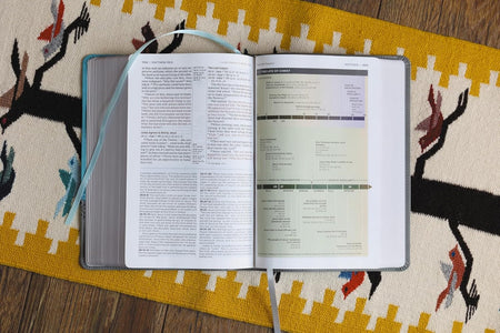 NIV Application Bible, Red Letter, Comfort Print: Bringing the Ancient Message of the Bible into Your World, product view 14