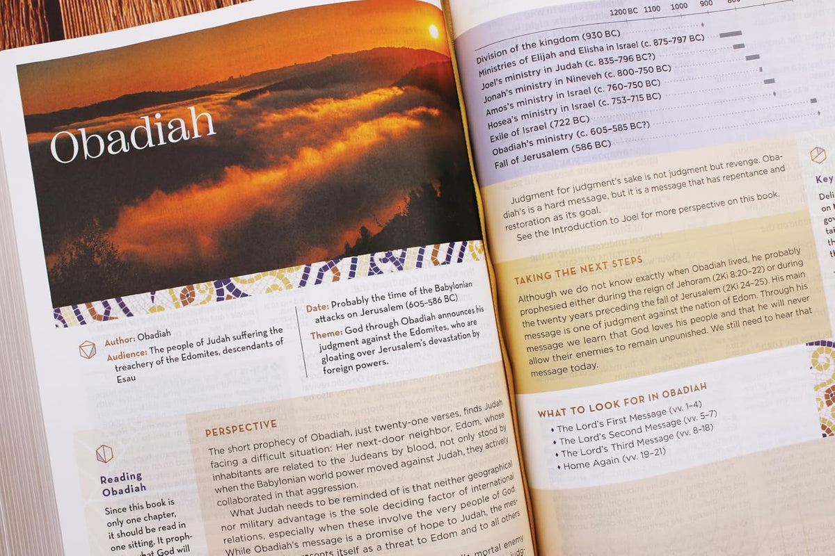 NIV Application Bible, Large Print, Red Letter, Comfort Print: Bringing the Ancient Message of the Bible, product view 5