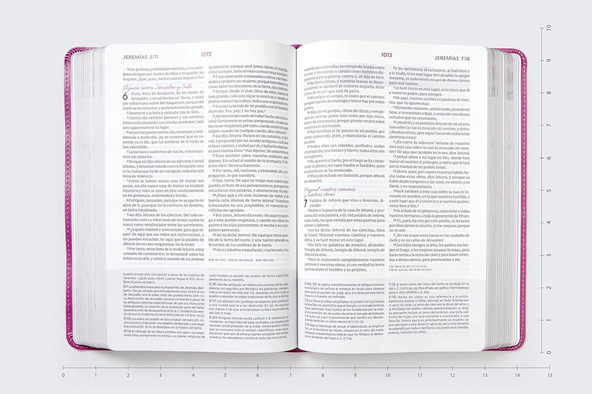 RVR60 Biblia de estudio para la mujer: Verdad, esperanza y transformación para el corazón – Leathersoft™, product view 13